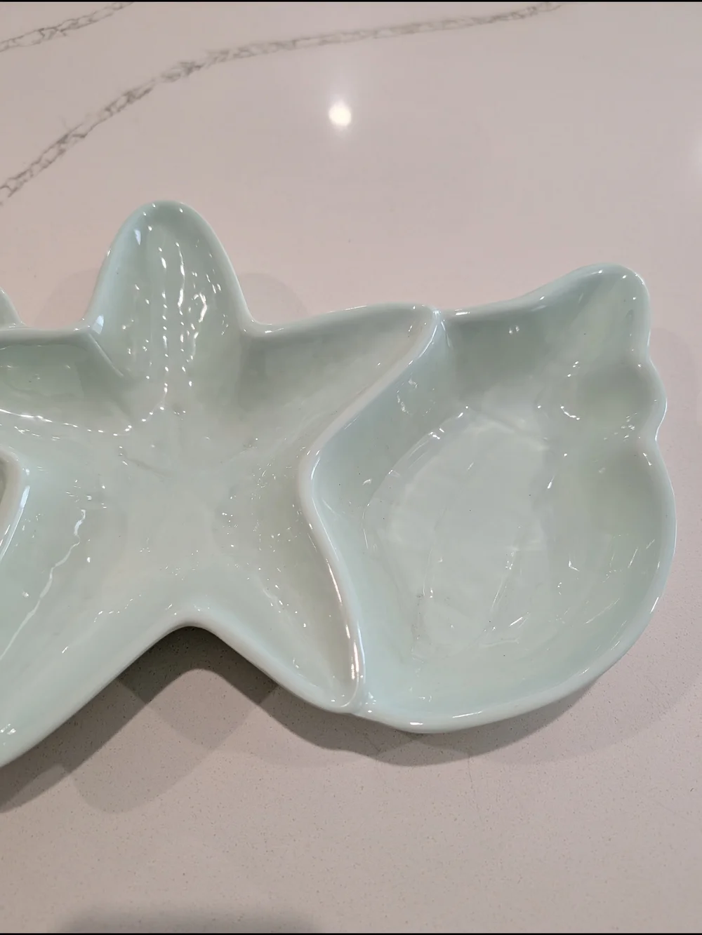 Pier 1 Imports Seabirds divided serving dish Coastal Melamine Platter Teal